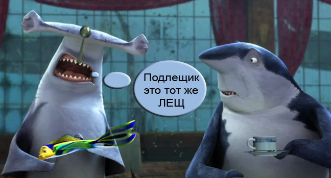 Окулы