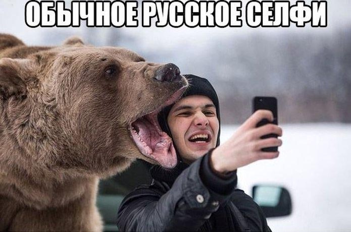Селфи с медведем